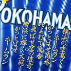 ★送料無料★横浜　DeNA ベイスターズ　筒香嘉智　応援歌　青　応援　刺繍　ワッペン　ユニフォーム