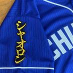 * бесплатная доставка * Chunichi Dragons автомобиль o long имя 2 чёрный ткань отвечающий . вышивка нашивка форма 