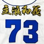 ★送料無料★中日　ドラゴンズ　立浪和義　