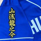 * бесплатная доставка * Chunichi Dragons гора . дракон .. имя 2 чёрный ткань отвечающий . вышивка нашивка форма 