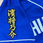 * бесплатная доставка * Chunichi Dragons .... имя 2 чёрный ткань отвечающий . вышивка нашивка форма 