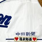 * бесплатная доставка * Chunichi Dragons удача .. основа имя рукав отвечающий . вышивка нашивка форма 