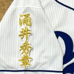 * бесплатная доставка * Chunichi Dragons .. превосходящий глава имя 2 белый отвечающий . вышивка нашивка форма 