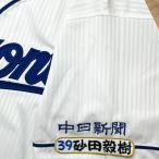 * бесплатная доставка * Chunichi Dragons песок рисовое поле .. имя 4 отвечающий . вышивка нашивка форма 