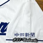 * бесплатная доставка * Chunichi Dragons . земля .. имя 3 отвечающий . вышивка нашивка форма 