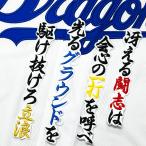 ★送料無料★中日　ドラゴンズ　立浪和義　