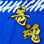 * бесплатная доставка * Chunichi Dragons дракон душа шерсть кисть отвечающий . вышивка нашивка форма 