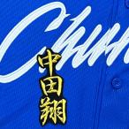 * бесплатная доставка * Chunichi Dragons средний рисовое поле sho имя 2 чёрный ткань отвечающий . вышивка нашивка форма 
