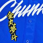 * бесплатная доставка * Chunichi Dragons золотой круг сон . имя 2 чёрный ткань отвечающий . вышивка нашивка форма 