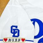 * бесплатная доставка * Chunichi Dragons ka белка te имя рукав отвечающий . вышивка нашивка форма 