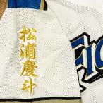 ★送料無料★北海道　日本ハム　ファイター