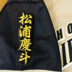 ★送料無料★北海道　日本ハム　ファイター