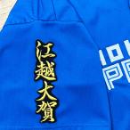 * бесплатная доставка * Hokkaido Nippon-Ham Fighters день ветчина .. большой . имя 2 чёрный вышивка нашивка форма для болельщиков 