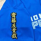 * бесплатная доставка * Hokkaido Nippon-Ham Fighters день ветчина . глициния ... имя 2 чёрный вышивка нашивка форма для болельщиков 