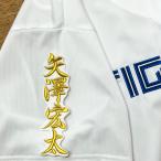 * бесплатная доставка * Hokkaido Nippon-Ham Fighters день ветчина стрела .. futoshi имя 2 белый вышивка нашивка форма для болельщиков 