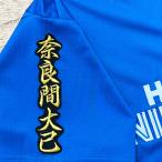 * бесплатная доставка * Hokkaido Nippon-Ham Fighters день ветчина Nara промежуток большой . имя 2 чёрный вышивка нашивка форма для болельщиков 