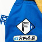 * бесплатная доставка * Hokkaido Nippon-Ham Fighters день ветчина . внутри весна блестящий имя 4 вышивка нашивка форма для болельщиков 