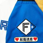 * бесплатная доставка * Hokkaido Nippon-Ham Fighters день ветчина сосна холм .. имя рукав вышивка нашивка форма для болельщиков 