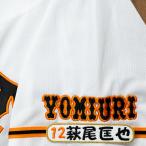 * бесплатная доставка * Tokyo Yomiuri Giants . человек Hagi хвост .. имя 4 вышивка нашивка форма для болельщиков 