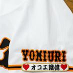 * бесплатная доставка * Tokyo Yomiuri Giants . человек okoe.. имя рукав вышивка нашивка форма для болельщиков 