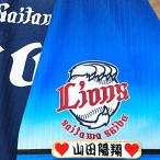 * бесплатная доставка * Saitama Seibu Lions гора рисовое поле . sho имя рукав отвечающий . вышивка нашивка форма 