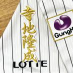 * бесплатная доставка * Chiba Lotte Marines храм земля .. имя 2 белый отвечающий . вышивка нашивка форма 
