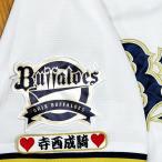 ★送料無料★オリックス バファローズ　寺