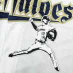 ★送料無料★オリックス バファローズ　寺