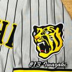 * бесплатная доставка * Hanshin Tigers скала мыс super имя 3 вышивка нашивка форма отвечающий .