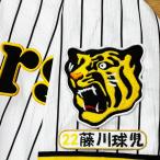 * бесплатная доставка * Hanshin Tigers глициния река лампочка . имя 4 отвечающий . вышивка нашивка форма 