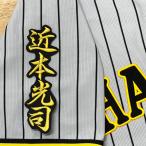 * бесплатная доставка * Hanshin Tigers близко книга@ свет . имя 2 чёрный отвечающий . вышивка нашивка форма 