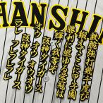 ★送料無料★阪神　タイガース　六甲おろし 3　応援歌　