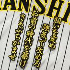 ★送料無料★阪神　タイガース　坂本誠志郎