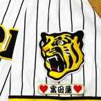  Hanshin Tigers Tomita лотос имя рукав отвечающий . вышивка нашивка форма 
