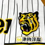 * бесплатная доставка * Hanshin Tigers Цу рисовое поле .. имя 4 отвечающий . вышивка нашивка форма 