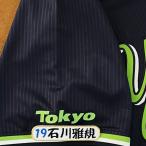 * бесплатная доставка * Tokyo Yakult Swallows Ishikawa .. имя 4 вышивка нашивка форма 