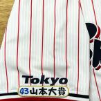 * бесплатная доставка * Tokyo Yakult Swallows Yamamoto большой . имя 4 вышивка нашивка форма 