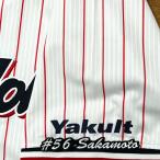 * бесплатная доставка * Tokyo Yakult Swallows Sakamoto .. имя 3 вышивка нашивка форма 