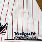 * бесплатная доставка * Tokyo Yakult Swallows больше рисовое поле . имя 3 вышивка нашивка форма 