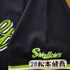 * бесплатная доставка * Tokyo Yakult Swallows Matsumoto .. имя 4 вышивка нашивка форма 