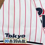 * бесплатная доставка * Tokyo Yakult Swallows красный перо .. имя 4 вышивка нашивка форма 
