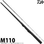 【取り寄せ商品】ダイワ 20 穴釣り専科 M110 (2020年モデル/釣竿・ロッド) /(c) 【Σ03】