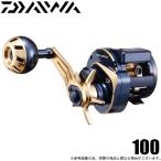 ダイワ 21 ソルティガ IC 100 (右ハンドル) 2021年モデル/ベイトリール/ジギング /(5) 【Σ01】