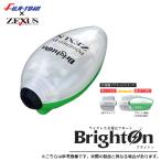 【目玉商品】冨士灯器 ブライトン M