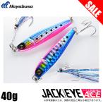 【目玉商品】ハヤブサ ジャックア
