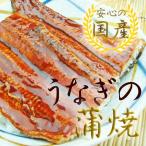 うなぎ蒲焼 1尾入 冷凍 静岡県産(養殖) ギフト 父の日 土用 丑の日