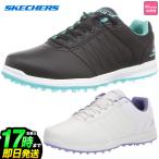 SKECHERS GOLF スケッチャーズ ゴルフシューズ  123009 WO PIVOT ピボット スパイクレス  (レディース)