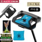 テーラーメイド ゴルフ Spider ZT STANDARD スパイダーZT パター