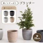 プランター おしゃれ 植木鉢 鉢カバー 小 水抜き穴 傘立て 観賞用 ホワイト 観葉植物 屋外 屋内 室内 シンプル ブラック ナチュラル グレー かわいい 白 黒 東谷