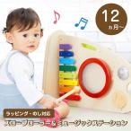 Yahoo! Yahoo!ショッピング(ヤフー ショッピング)5種類の音遊びとボール転がしが楽しい スロープローラー＆ミュージックステーション IM-30020 出産祝い 1歳 誕生日 ギフト アイムトイ